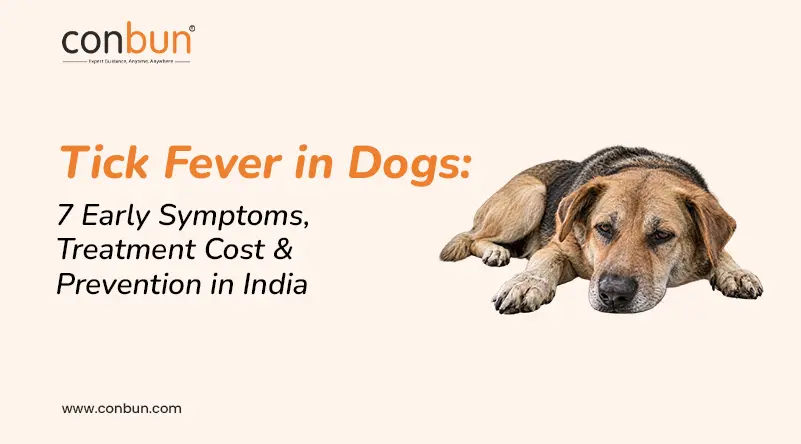 Tick Fever in Dogs: 7 Early Symptoms, Treatment Cost & Prevention in India